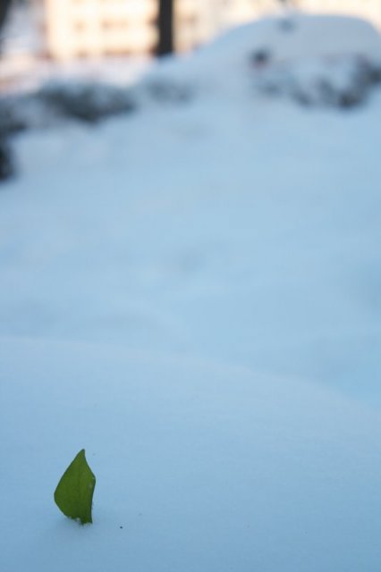 235239